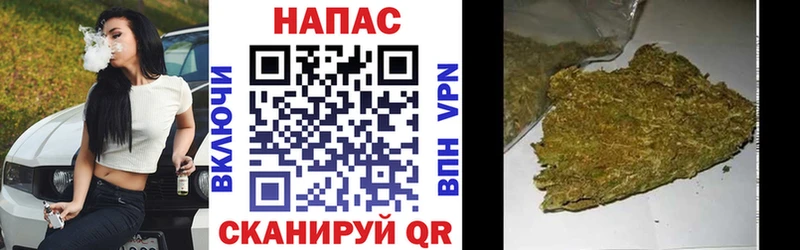 Конопля сатива  Купить закладки  Севастополь 